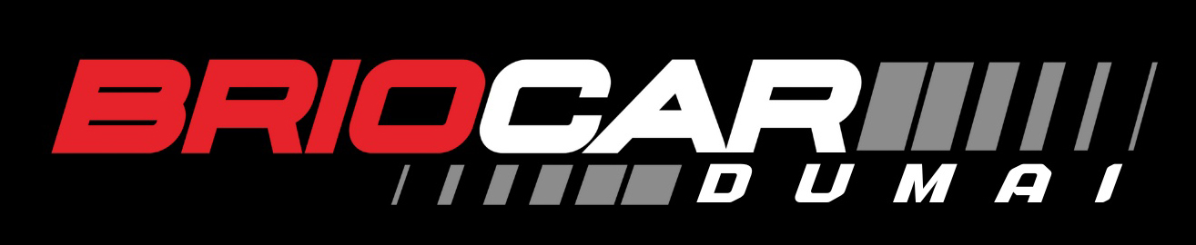 Logo 3